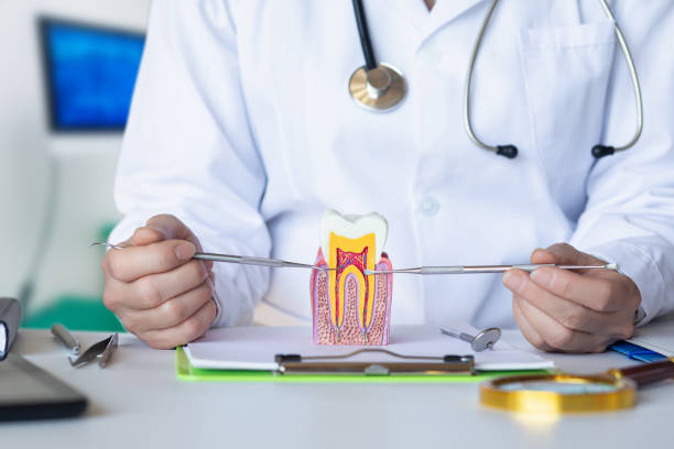 Best Emergency Gum Pain Relief  in River Rouge, MI